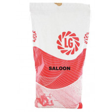 GELE MOSTERD SALOON 20 KG