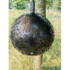 HORSE FLY TRAP BALL 45 CM 1 ST