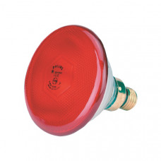 WARMTELAMP PHILIPS 100W. ROOD