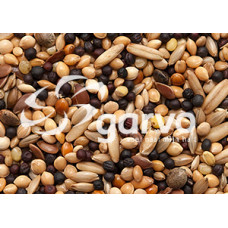VOLIEREZAAD 20KG GARVO 5343