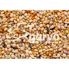 TROPICAL GOLD 20KG GARVO 3838