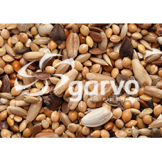 AGAPORNIDENZAAD 20KG GARVO 9111