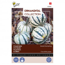 BUZZY® ORNAMENTAL WINTERSQUASH SWEET DUMPLING