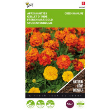 BUZZY® GROENBEMESTER TAGETES 50 GRAM (8)