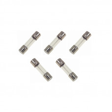 5 ST. GLASZEKERING 5X20MM 2,0A SNEL