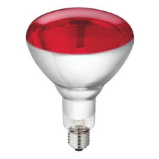 WARMTELAMP PHILIPS 250W. ROOD