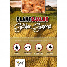 PLANTSJALOTTEN GOLDEN GOURMET 500G (9)