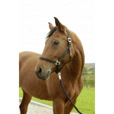 HIPPO HALSTER ZWART- 00 - VEULEN/MINI SHETLAND