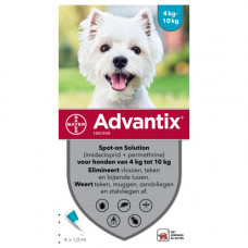 ADVANTIX 100 > 4 PIPET 1 X 4 PIP. - 4 - 10 KG