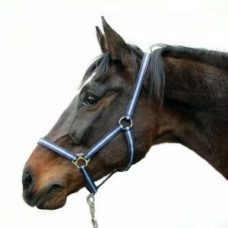 HALSTER HIPPO BLAUW  3