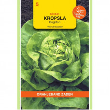 OBZ KROPSLA LARISSA - KASSLA-