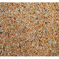 GRASPARKIETZAAD DWM 25 KG