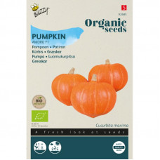 BUZZY® ORGANIC POMPOEN AMORO