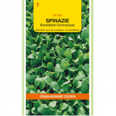 OBZ SPINAZIE BREEDBLAD ZOMER SCHERPZ., 250G