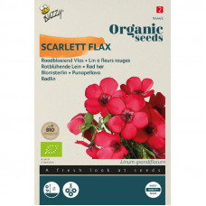 BUZZY® ORGANIC LINUM RUBRUM GRANDIFLORUM