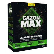 GAZON MAX 4 KG
