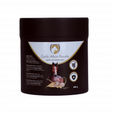 EXCELLENT HORSE GARLIC ALLICIN POWDER 800 G