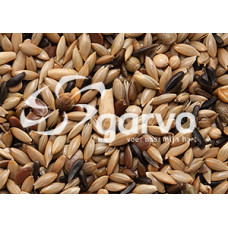KANARIEZAAD ZONDER RAAP 20KG GARVO 5371 KANARIEZAAD ZONDER RAAP 20KG GARVO 5371