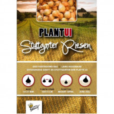 PLANTUIEN STUTTGARTER RIESEN 100G
