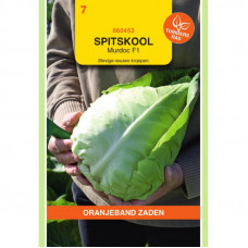 OBZ SPITSKOOL MURDOC (EXTRA GROOT)