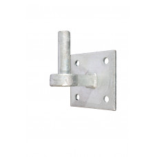 DUIM ROND19MM OP PLAAT 10X10 FV