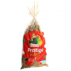 VERSELE-LAGA TROSGIERST 300 G