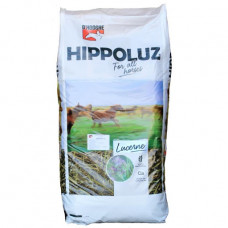 LUCERNE HIPPO DHOOGHE
