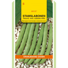 OBZ STAMSLABONEN RECORD, 100G