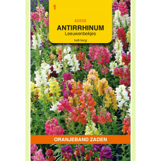 OBZ ANTIRRHINUM, LEEUWENBEKJE, HALF-HOOG GEMENGD