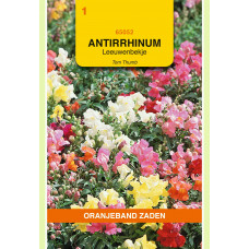 OBZ ANTIRRHINUM, LEEUWENBEKJE TOM THUMB