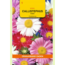 OBZ CALLISTEPHUS, ASTER ENKELBLOEMIG GEMENGD