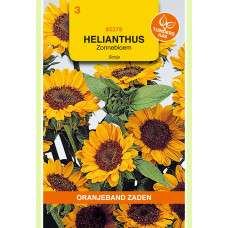 OBZ HELIANTHUS, ZONNEBLOEM SONJA