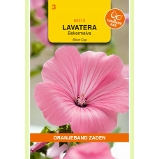 OBZ LAVATERA, BEKERMALVA SILVER CUP