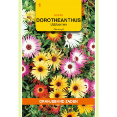 OBZ DOROTHEANTHUS, IJSBLOEMEN GEMENGD