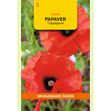 OBZ PAPAVER, TULPPAPAVER