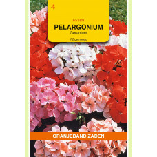 OBZ PELARGONIUM, GERANIUM F2 GEMENGD