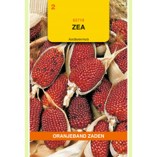 OBZ ZEA, AARDBEIENMAIS