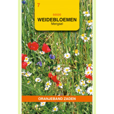 OBZ WEIDEBLOEMEN MENGSEL - 5 M²